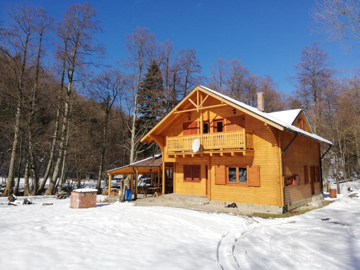 Chalet By The River Văliug Exterior foto