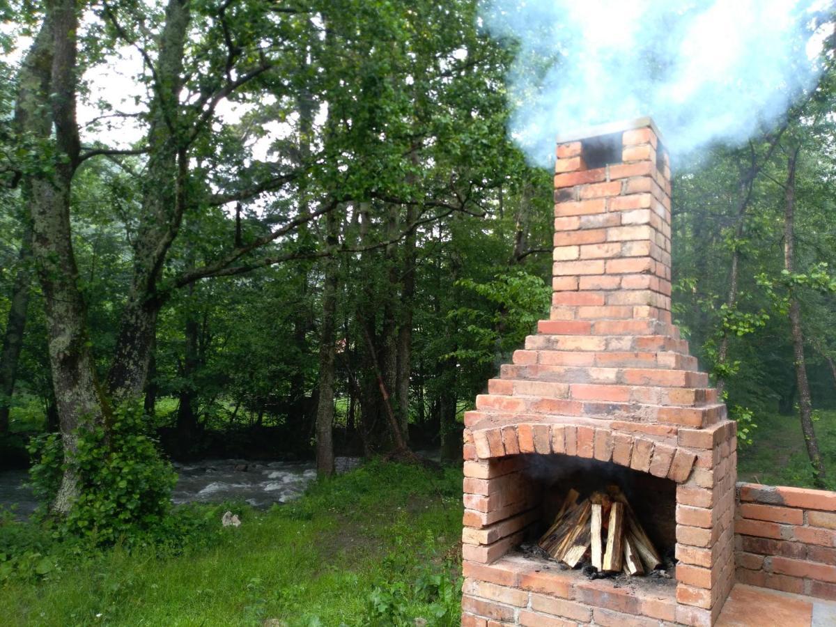 Chalet By The River Văliug Exterior foto