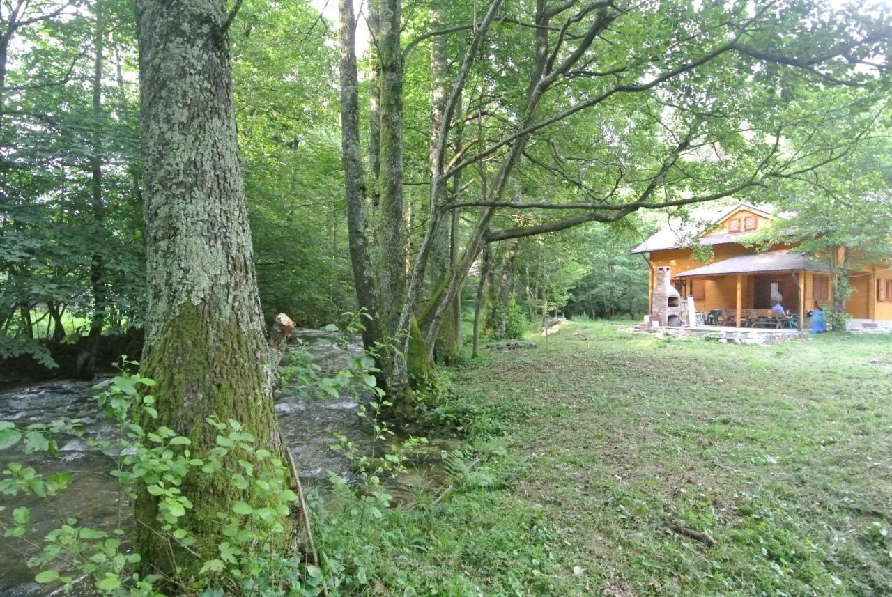 Chalet By The River Văliug Exterior foto